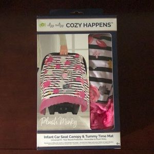 Itzy ritzy infant car seat canopy & tummy time mat